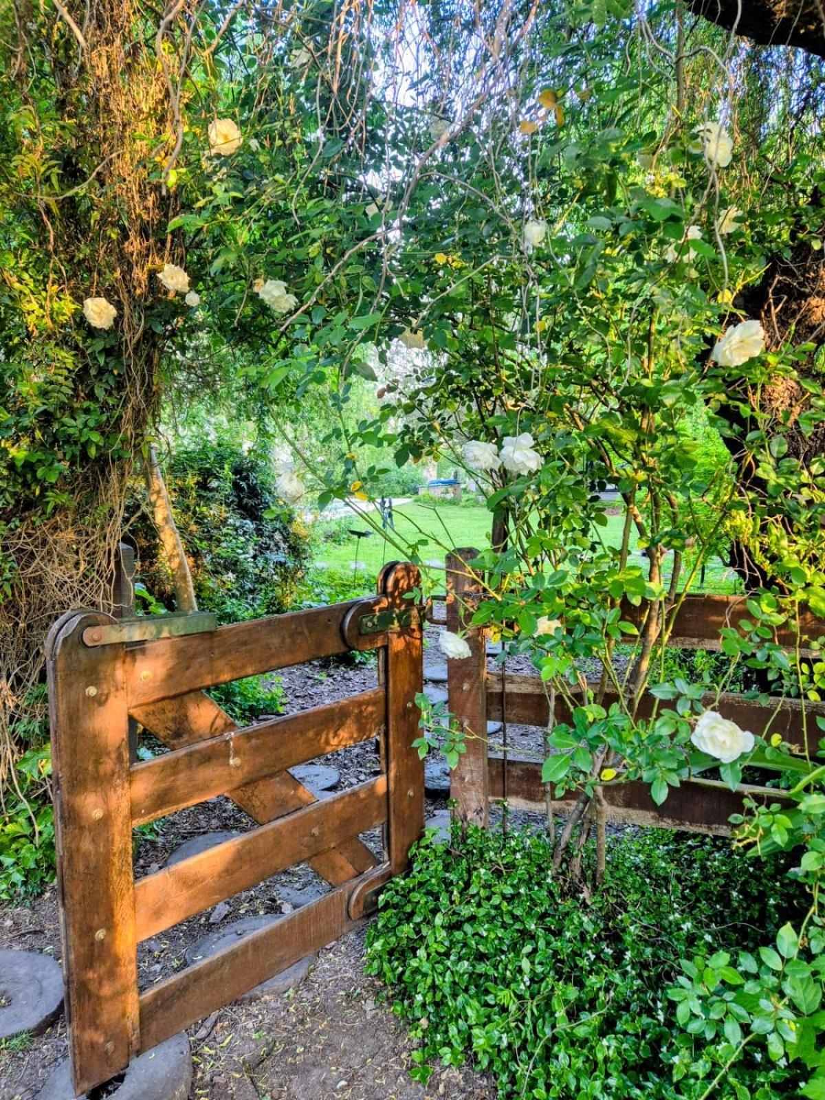 La Ignacia Bed And Breakfast Pilar  Exteriör bild